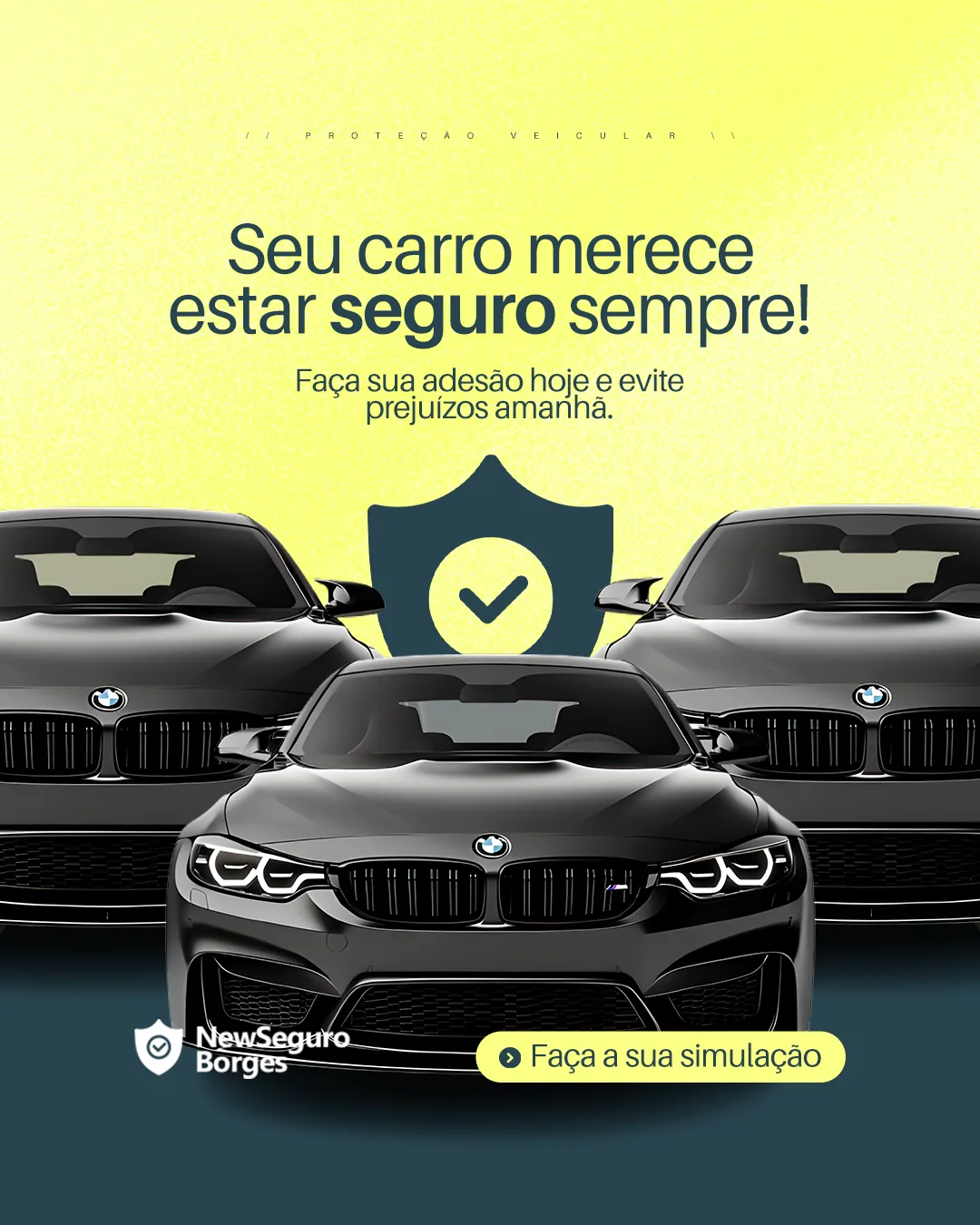 Social Media NewSeguro Borges — peça 12